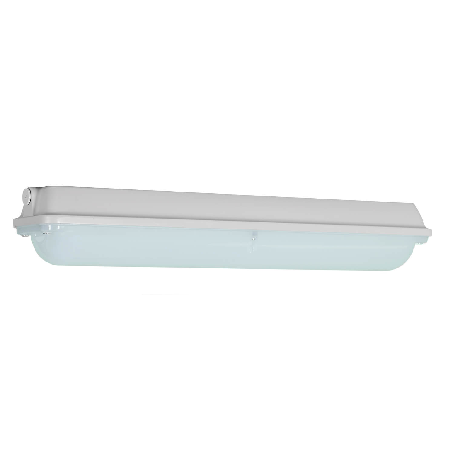 clevertronics emergency lighting linear UK Argonaut 600 vandal