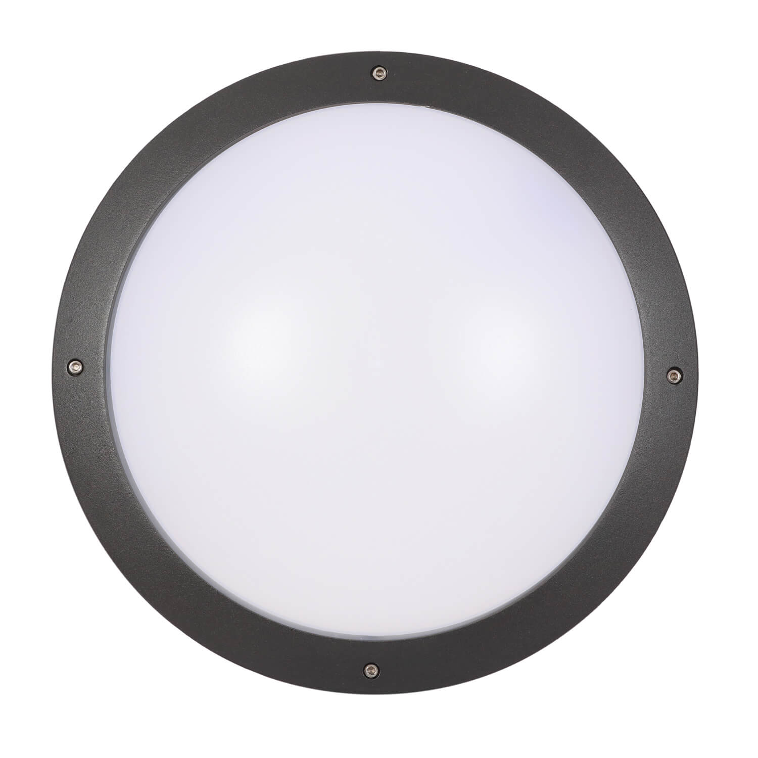 clevertronics emergency lighting luminaire uk bunkalite black